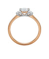 auksinis ziedas 433 eur